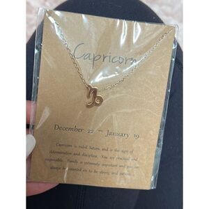 New Capricorn astrology tarot horoscope Necklace